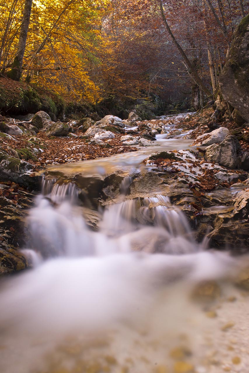 Flow | Villetta Barrea, 2017