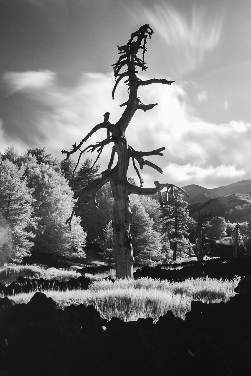 Solitario | Etna, 2019