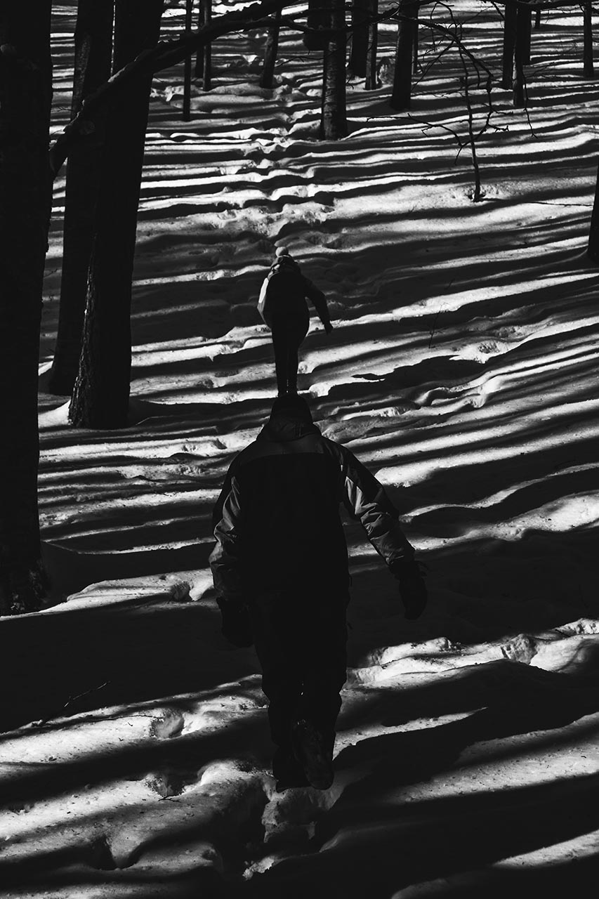 Zebra | Fanano, 2019